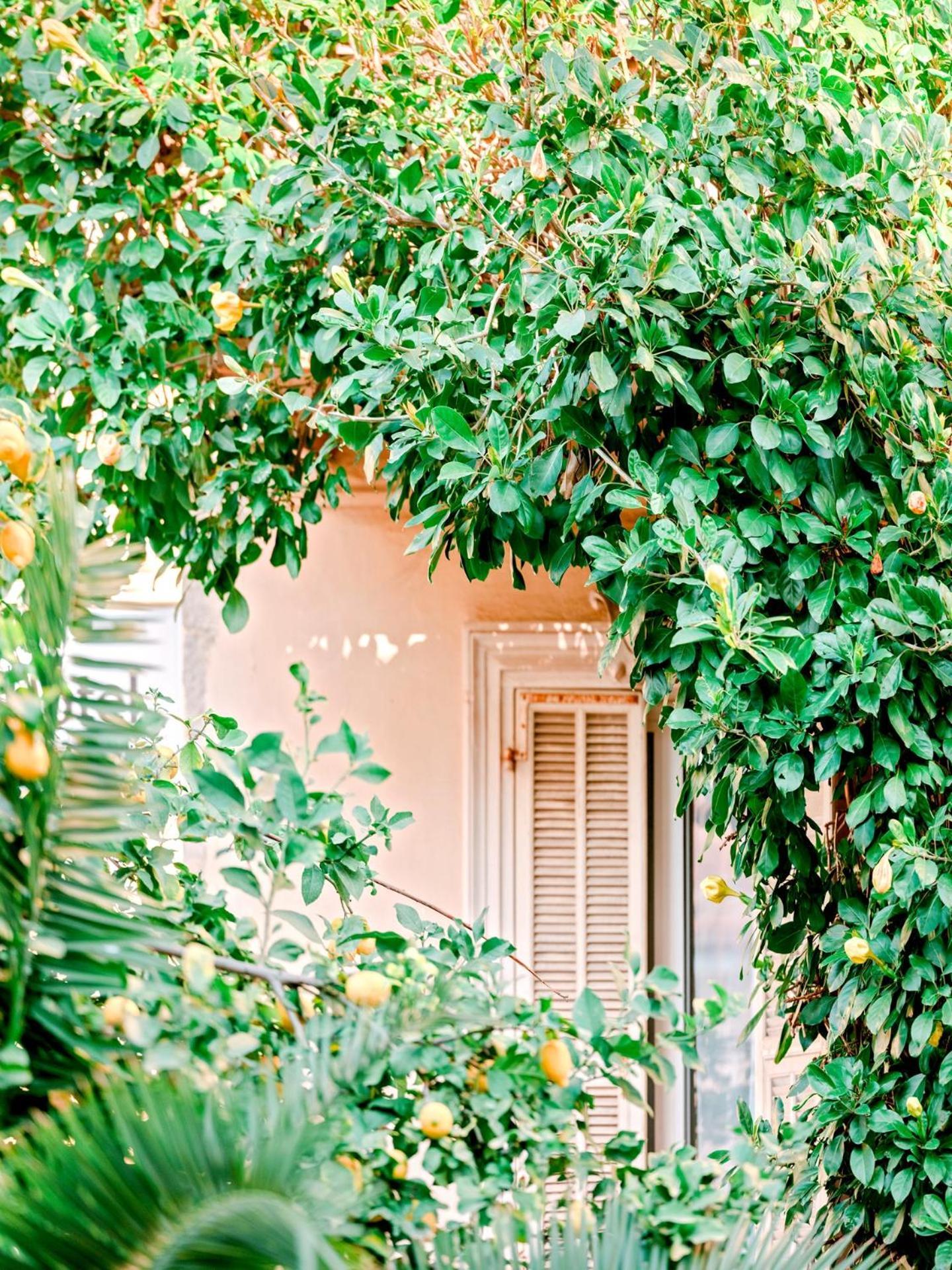 Hotel Lemon Menton Eksteriør bilde